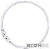 Ring T5 - Ø 16mm